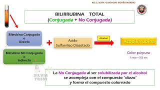 DETERMINACIÓN DE BILIRRUBINA SÉRICA [upl. by Angelica]