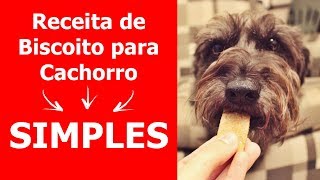 Biscoito para Cachorro Caseiro  O Melhor Biscoito para Cachorro Caseiro [upl. by Weingarten]