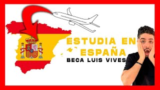 ✔✔Estudia en España SIN inglés con la Beca Luis Vives✈✈ [upl. by Randell62]