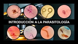 INTRODUCCIÓN A PARASITOLOGÍA Generalidades clasificación tipos de huéspedes y mecanismos de daño [upl. by Nylyram942]