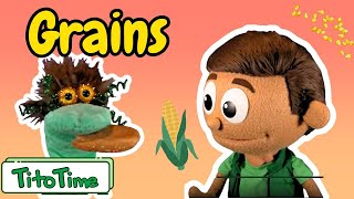 What Are Grains  Kids Explore The Grains Food Group with Tito amp Mr Funny  Episode 5 [upl. by Narod]