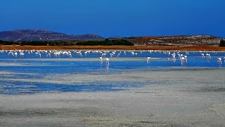 Lemnos Greece Asprolimni  AtlasVisual [upl. by Joanie751]