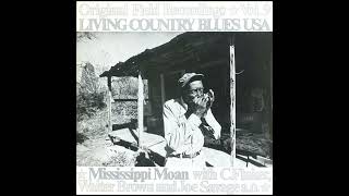 Living Country Blues USA Vol 9 – Mississippi Moan–With CFluker Walter Brown 2008Full album [upl. by Atteuqihc]