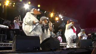 The Wombles  Remember Youre A Womble Live at Glastonbury 2011 [upl. by Ardnaik]