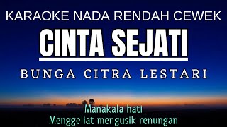 BCL  Cinta Sejati Karaoke Lower Key Nada Rendah Wanita 2 Cm [upl. by Arayk755]