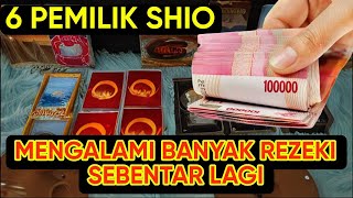 6 PEMILIK SHIO INI BANYAK REZEKI SEBENTAR LAGI [upl. by Anaitsirc923]