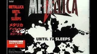 Metallica  2x4 Live at Donnington 1995 From the Until It Sleeps Import Single [upl. by Atteselrahc264]