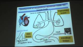 Dr Azza  Helminths  Nematodes 3  Ancylostoma Duodenale amp Trichostrongylus Colubriformis [upl. by Aikemat828]