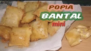 Popia Bantal Mini  popia goreng  cheese sosej telur simple super sedap [upl. by Nuavahs]