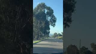 Melbourne Drive to Lilydale 2024 asmrdrive melbourne australia shorts [upl. by Ajax]