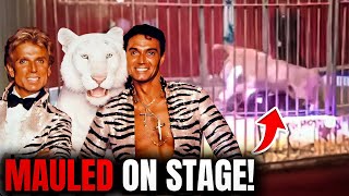 White Tiger ATTACKED His Owners Siegfried amp Roy [upl. by Nhguavad962]