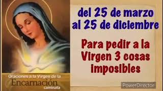 Oración Caminata Nuestra Señora de la Encarnación día 14 julio 2023 [upl. by Ashlin]