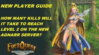 EVERQUEST GUIDE  How many solo kills will it take to reach level 2 on Agnarr 1080p [upl. by Pogah]