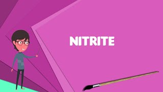 What is Nitrite Explain Nitrite Define Nitrite Meaning of Nitrite [upl. by Ailyn]