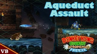 Donkey Kong Country Tropical Freeze  63 Aqueduct Assault [upl. by Worrad]