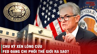 TỪ CHU KỲ XÉN LÔNG CỪU TỚI NHỮNG CUỘC KHỦNG HOẢNG  FED ĐANG CHI PHỐI THẾ GIỚI NÀY NHƯ THẾ NÀO [upl. by Attegroeg]