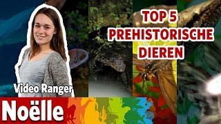 Top 5 prehistorische dieren [upl. by Brightman566]