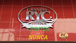 RYC ALIMENTOS  FIN DE AÑO 2020 [upl. by Josey738]