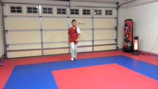 Taekwondo Palgwe Poomsae 18 by James Hollywood Chua 8 years old Fresno Martial Arts [upl. by Aili871]