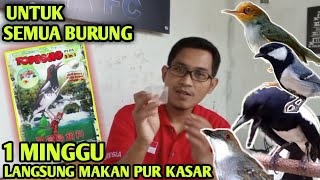 CARA AGAR BURUNG MAKAN VOER KASAR [upl. by Lavicrep]