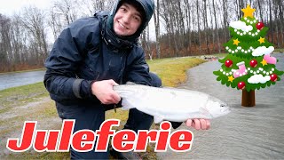 JULEFERIE🎄 32 FISK PÅ FLUESTANG 🎣 [upl. by Attah465]