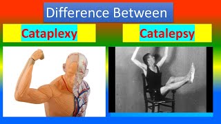 Difference between Cataplexy and Catalepsy [upl. by Atsedom147]