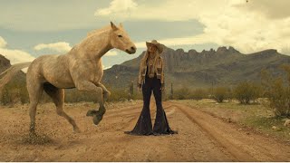 Lainey Wilson  Wildflowers and Wild Horses Official Music Video [upl. by Nama]