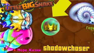 LITTLE BIG SNAKE 🐍 EPIC MOMENTS 😃 2 GAMEPLAY 💯 [upl. by Ojimmas153]