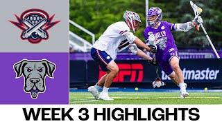 Boston Cannons vs Philadelphia Waterdogs OVERTIME Full Game Highlights [upl. by Julissa]