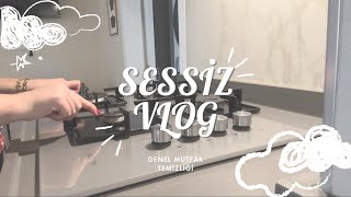 Sessiz Vlog l ASMR l Rutin Muftak Temizliği l En Sevdiğim Omlet [upl. by Karlie]