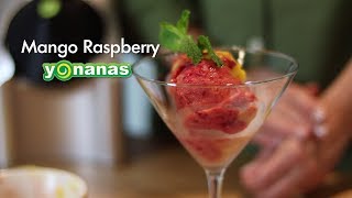 Mango Raspberry Yonanas Recipe [upl. by Enitsenrae836]