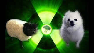 Imagine Doggos  Radioactive [upl. by Ynattyrb]