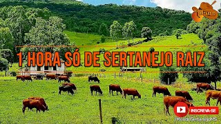 1 Hora Só Sertanejo Raiz músicas Inesquecíveis  Canal Mundo Sertanejo 2021 [upl. by Hseham]