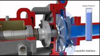 Dynamic Sealing in Chemical Process Pumps [upl. by Hafital572]