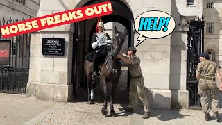 Royal Horse Out of Control See What Happens Next [upl. by Narut]