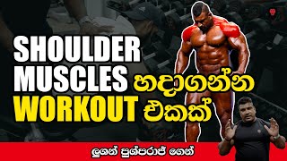 SHOULDER MUSCLE WORKOUT WITH LUCION PUSHPARAJ උපදෙස් සින්හලෙන් [upl. by Ahsenak961]