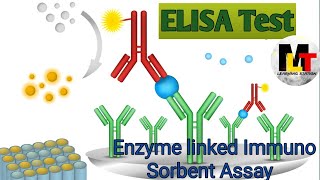 ELISA Test ।। Enzyme Linked Immuno Sorbent Assay in Hindi Notes [upl. by Loftis257]