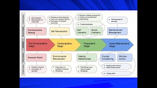 The Transtheoretical Model applied to schoolaged students with actingout behaviour disorders [upl. by Soracco994]