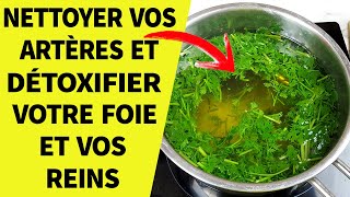 Buvez Cette Tisane Pour Nettoyer Vos Artères Et Détoxifier Votre Foie Et Vos Reins [upl. by Nylodnewg873]