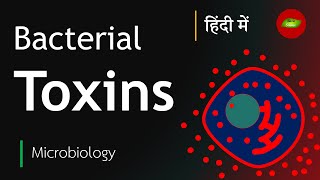 Bacterial Toxin in Hindi  Exotoxin  Endotoxin  Microbiology in Hindi  Basic Science Series [upl. by Notloc]