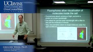 Introduction to Chemical Biology 128 Lecture 02 Common Tools in Chemical Biology [upl. by Narol550]