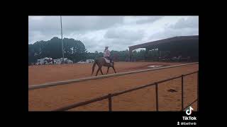 Horse show slow motion loping horse therapy [upl. by Johnston]