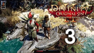 Divinity Original Sin 2  Definitive Edition Прохождение 3 Красный принц и Фейн [upl. by Lawrenson]