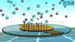 openQCM  Quartz Crystal Microbalance QCM working principle [upl. by Imogen]