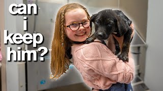 10YearOld Has Only 10 Minutes to ADOPT A PUPPY Emotional [upl. by Junieta]