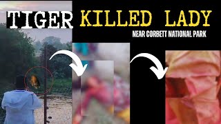 बाघ ने ली एक महिला की जान ।Jim Corbett Tiger Attack tiger jimcorbett [upl. by Ycniuqed]