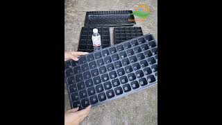 How to choose a suitable plug tray for your plants farm？ [upl. by Arualana]