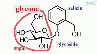 glycone [upl. by Nahtnoj647]