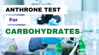 Anthrone Test  General test for Carbohydrates [upl. by Alimak]