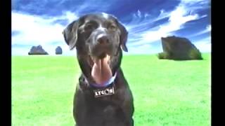 lycos commercial 📼💾💯 [upl. by Gnilrac]